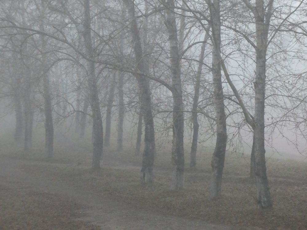 Photograph by Андрей Садчиков