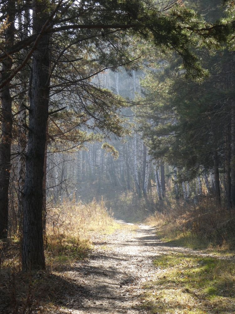 Photograph by Андрей Садчиков