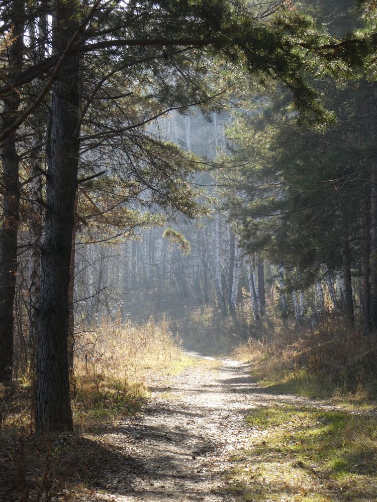 Photograph by Андрей Садчиков