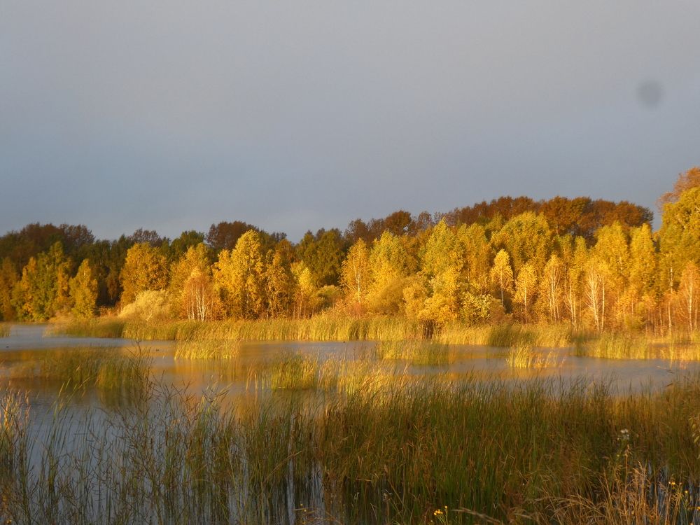 Photograph by Андрей Садчиков