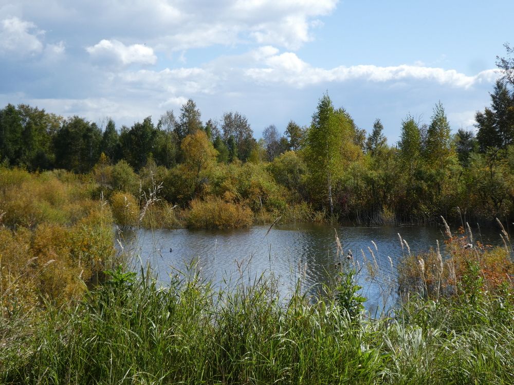 Photograph by Андрей Садчиков