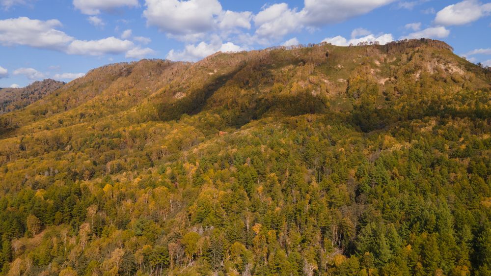 Photograph by Андрей Щербинин