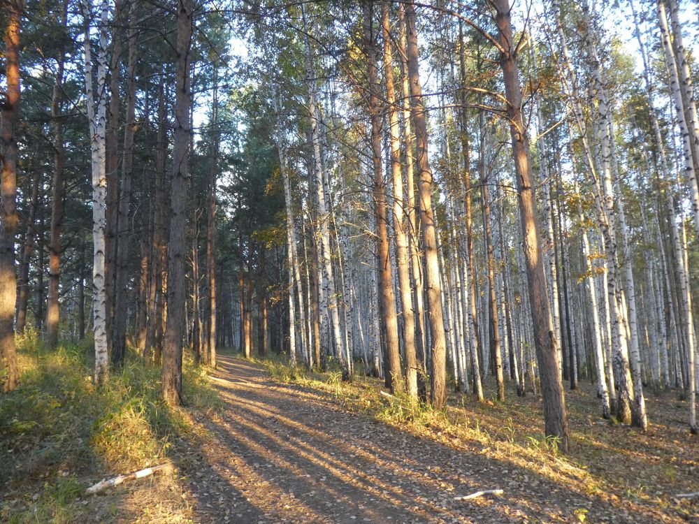 Photograph by Андрей Садчиков