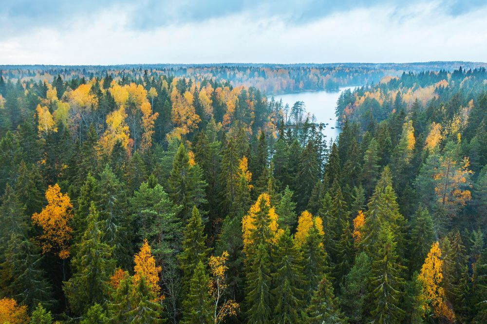 Photograph by Aleksei Kazakov