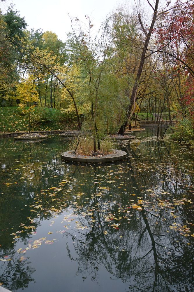 Photograph by Александра Яценко