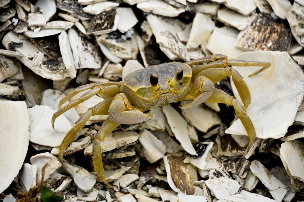 Photograph by Andrea