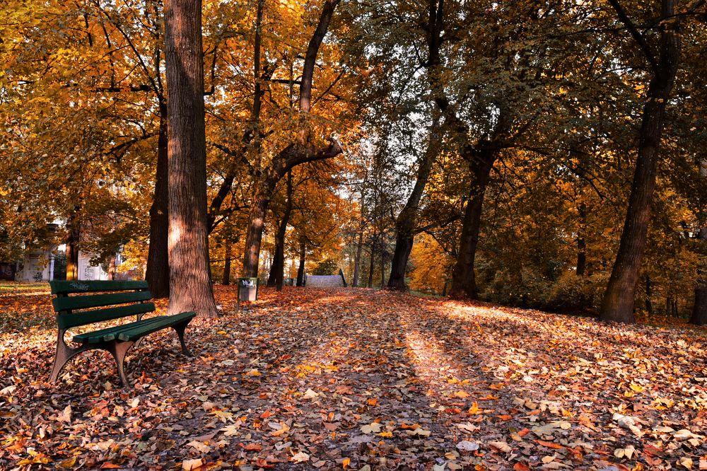 Фотография автора Justyna Jeżak