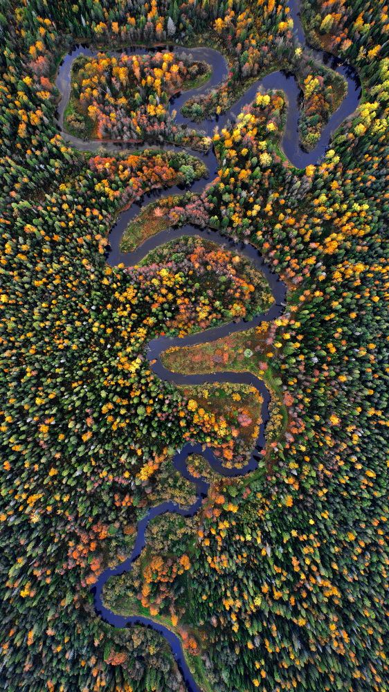 Фотография автора Александр Лукин