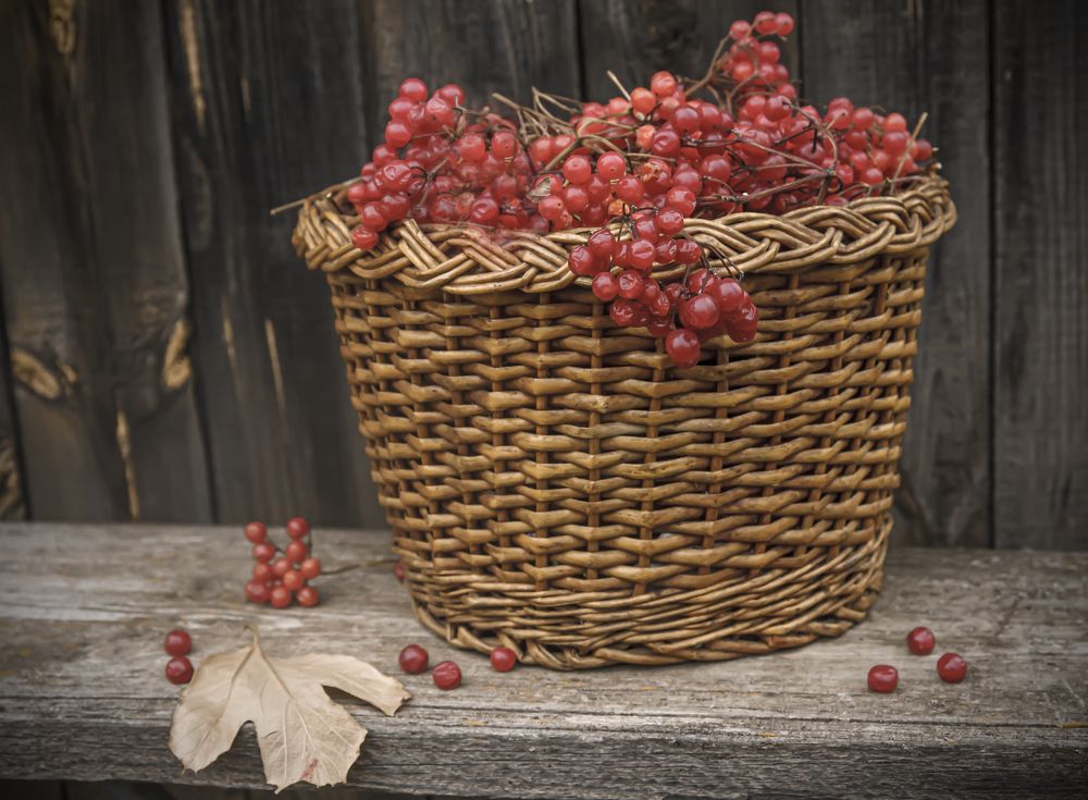 Photograph by Ринат Файзуллин