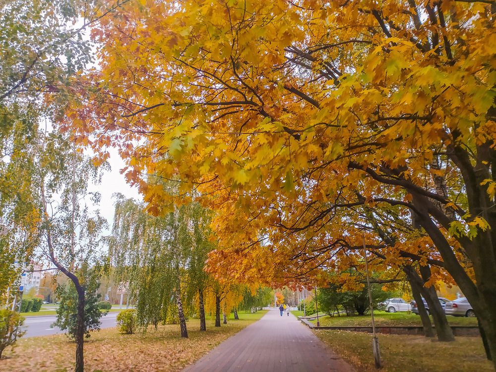 Photograph by Ирина Половцева