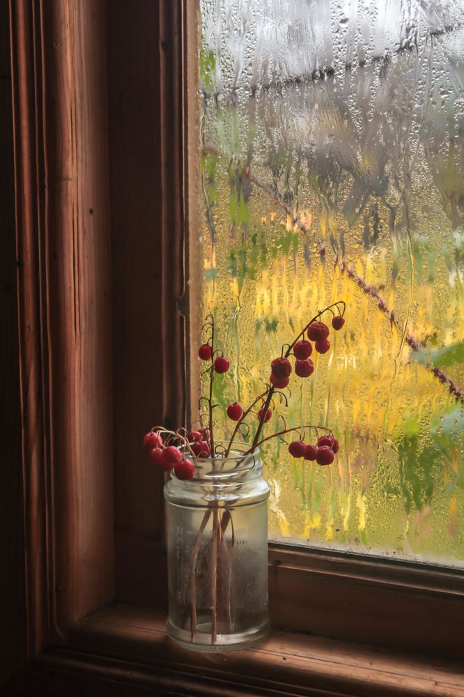 Autumn still life with the fruits of lily of the valley
