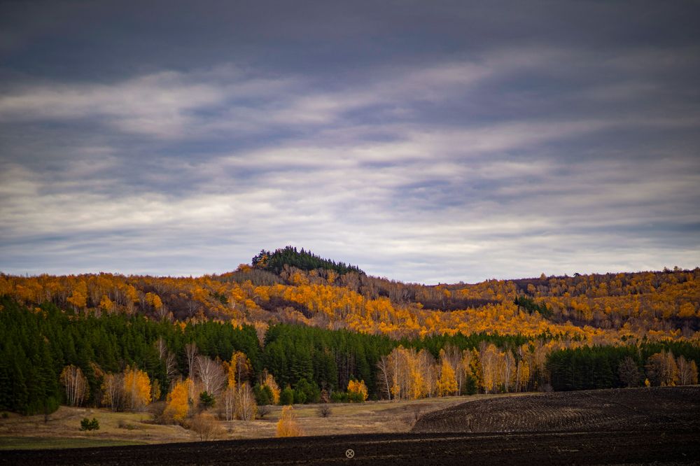 Фотография автора Александр Кременицкий