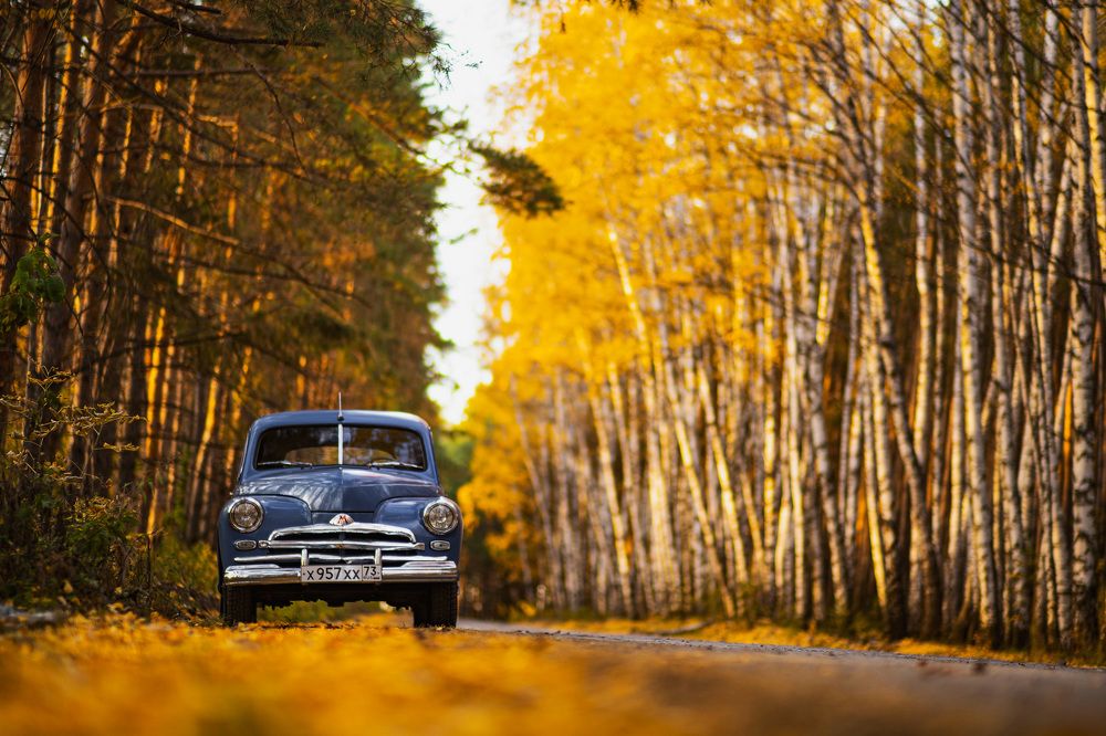 Фотография автора Александр Кременицкий