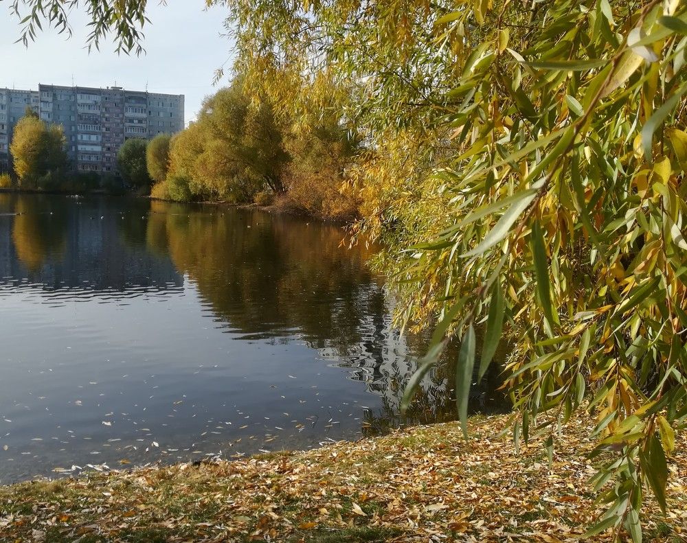 Photograph by Светлана Батурова