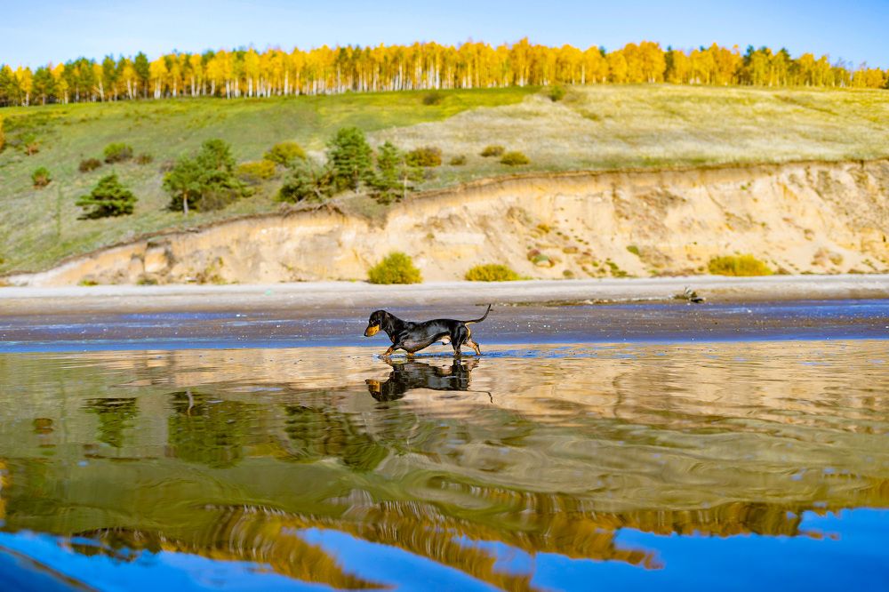 Фотография автора Александр Кременицкий
