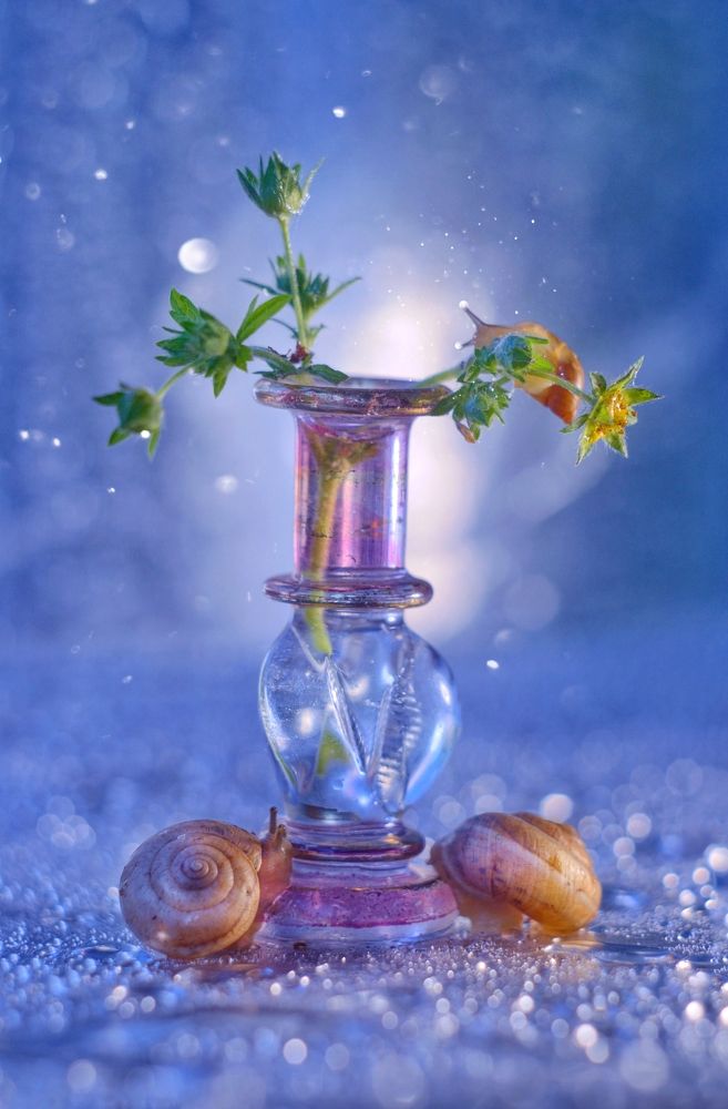 Photograph by Надежда Смелова