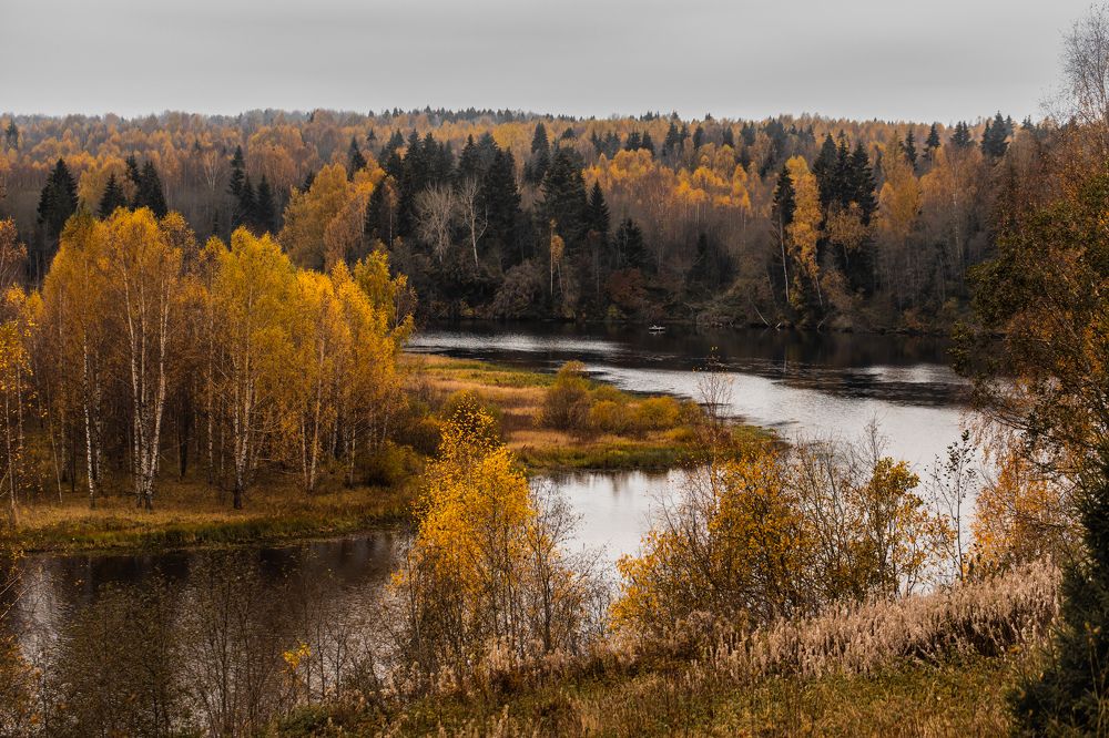 Фотография автора Мария Сурмачева