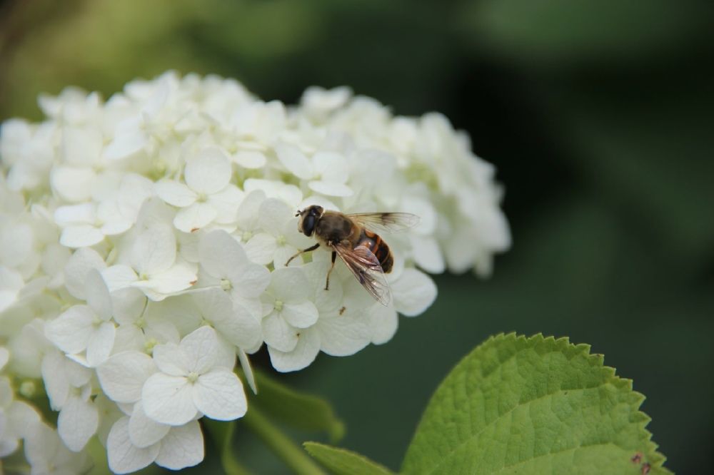 Photograph by Алина Трусова