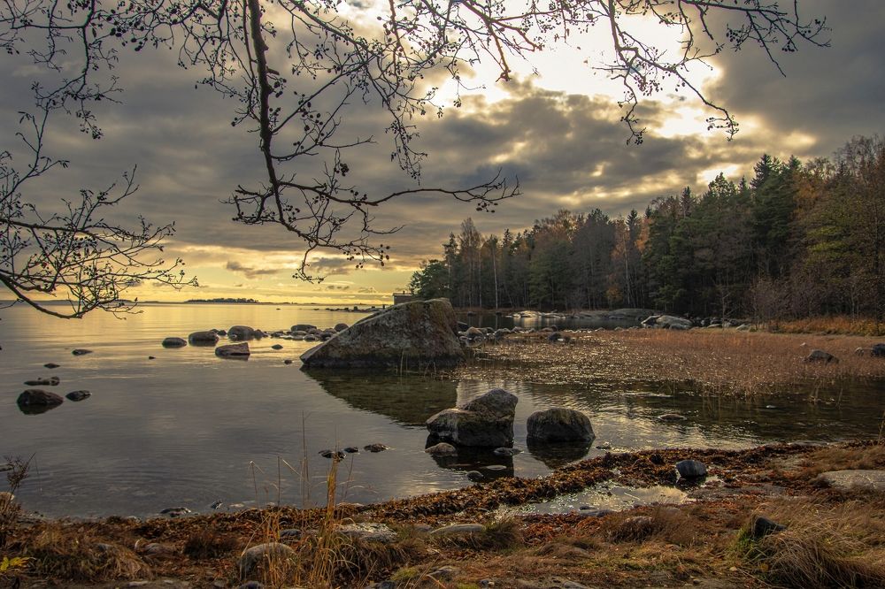 Photograph by Epp Tappel