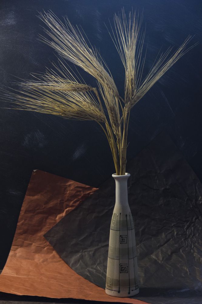 Photograph by Anna Gapanovich