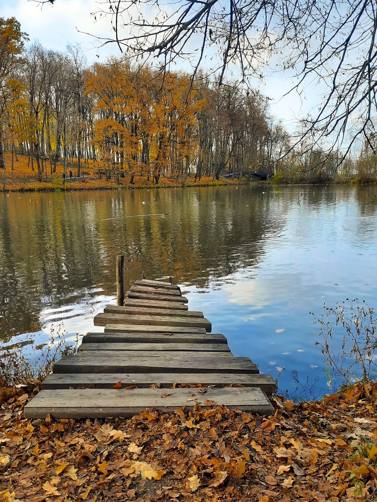 Платоновский парк в Туле.