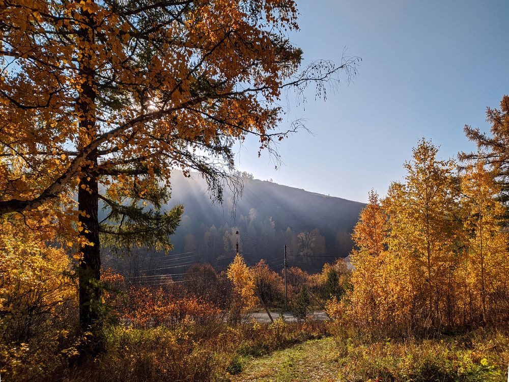 Photograph by Зульфия Курманова