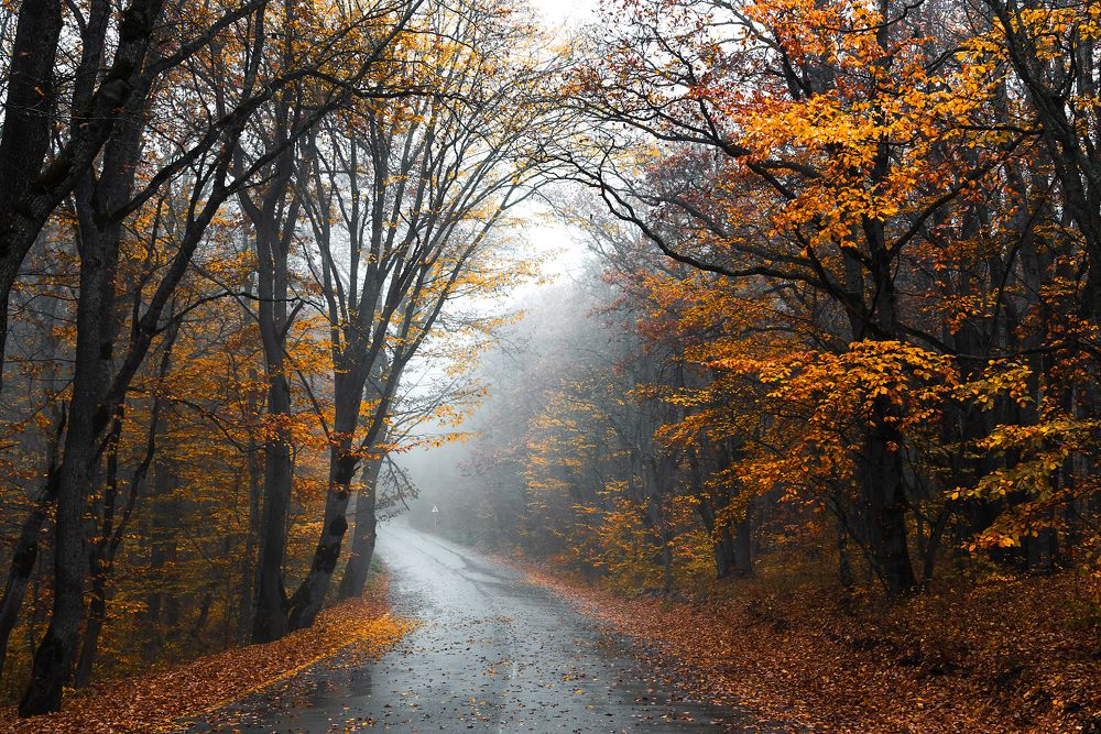 Photograph by Valery