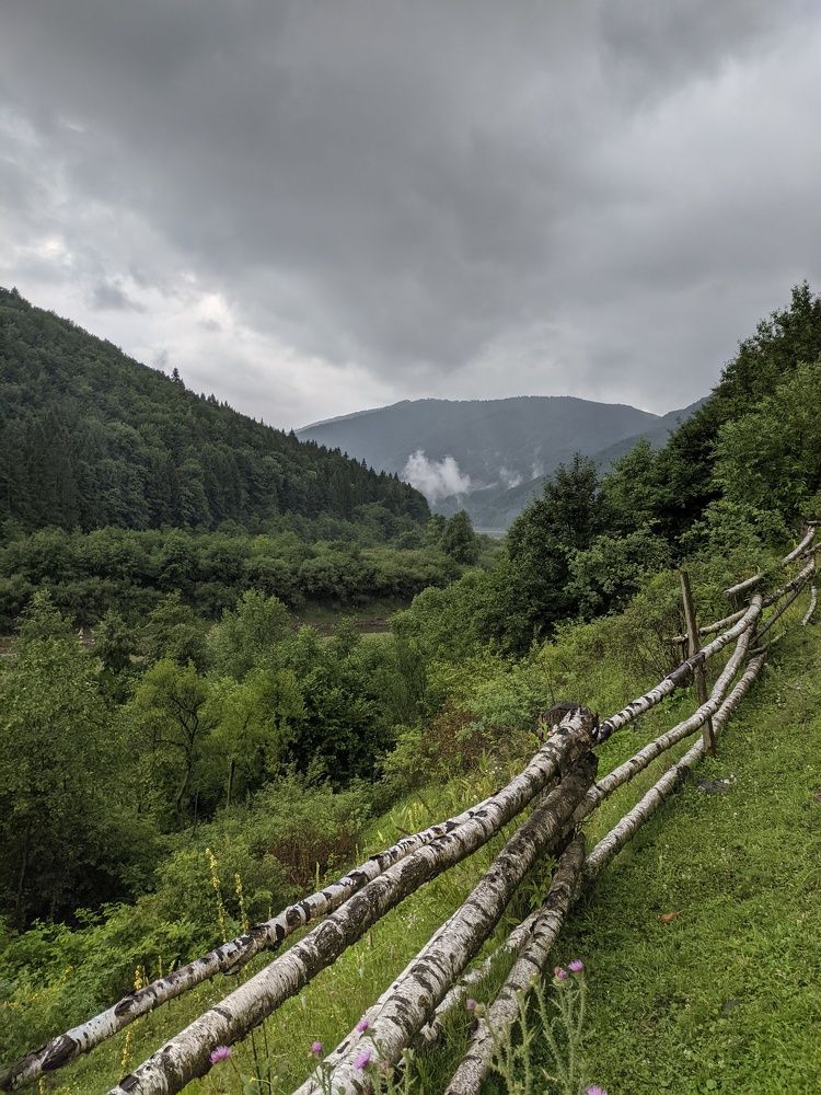 Photograph by Viktor Kutyk