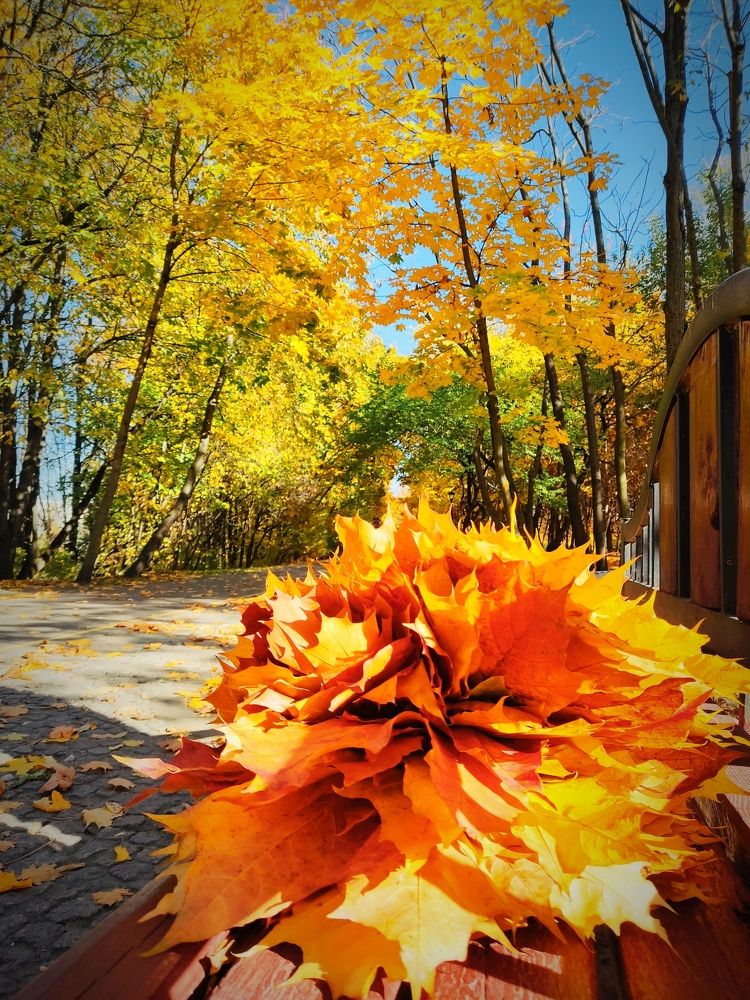 Photograph by Ирина Сыровежкина