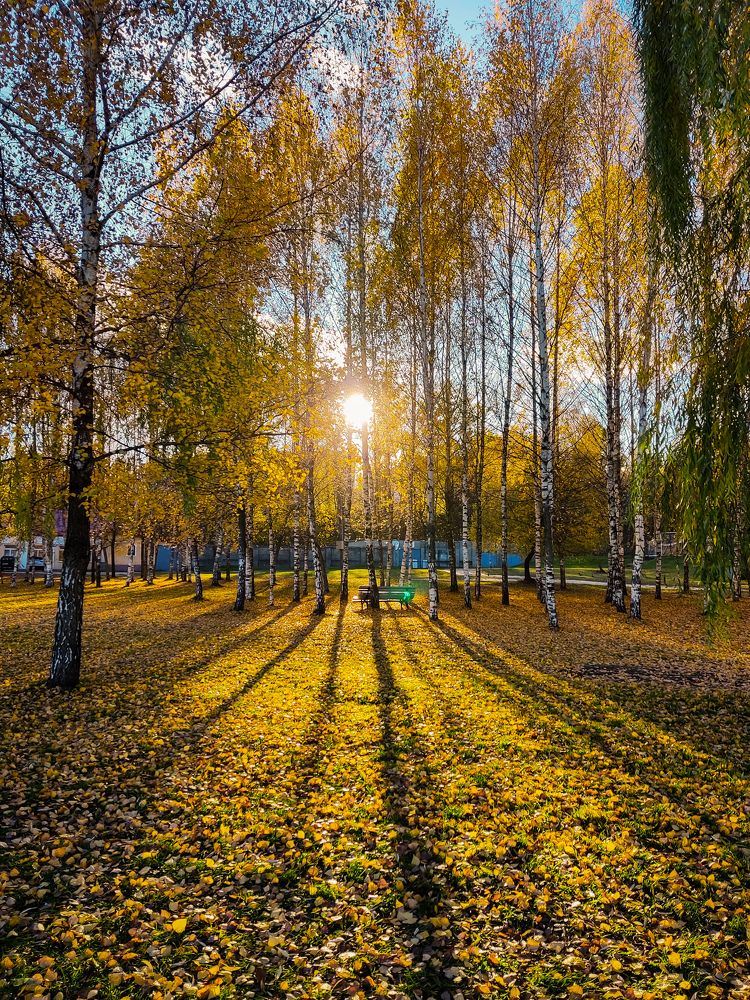 Photograph by Ирина Сыровежкина