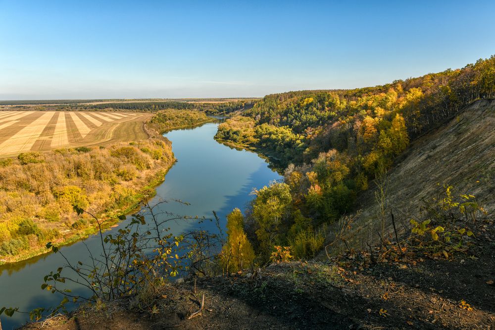 Кривоборье