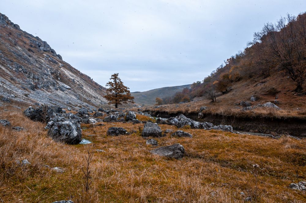 Фотография автора Олег Старосельцев