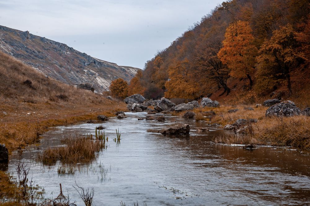 Фотография автора Олег Старосельцев