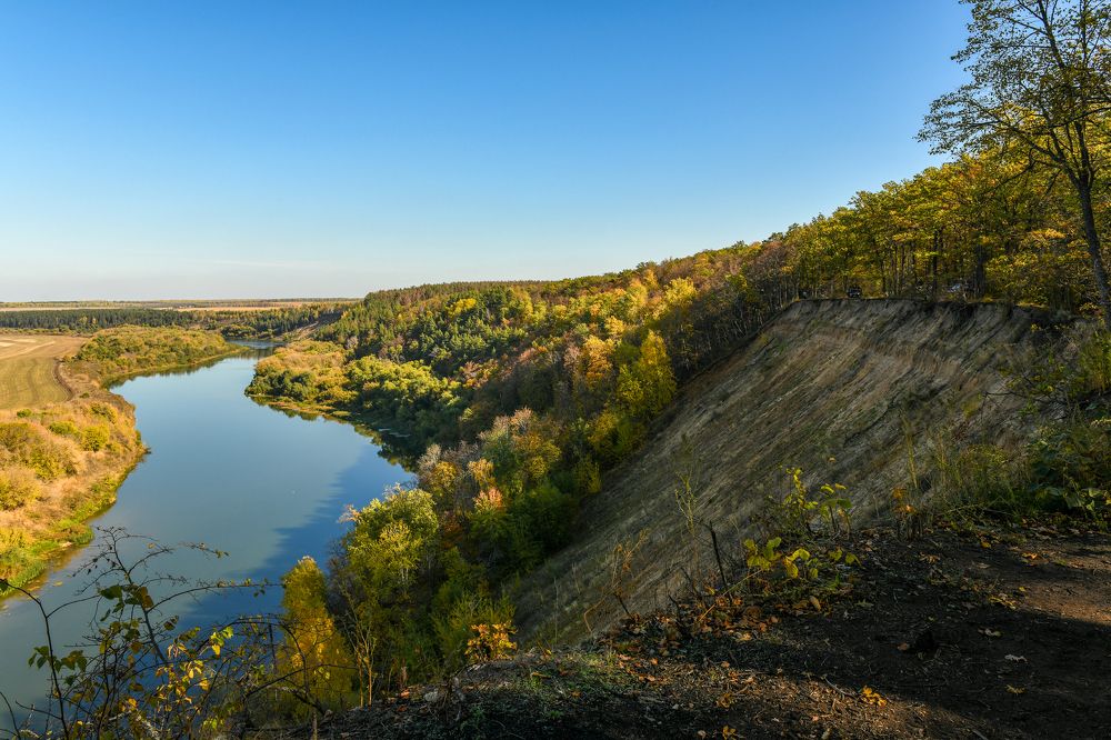 Утро на Дону