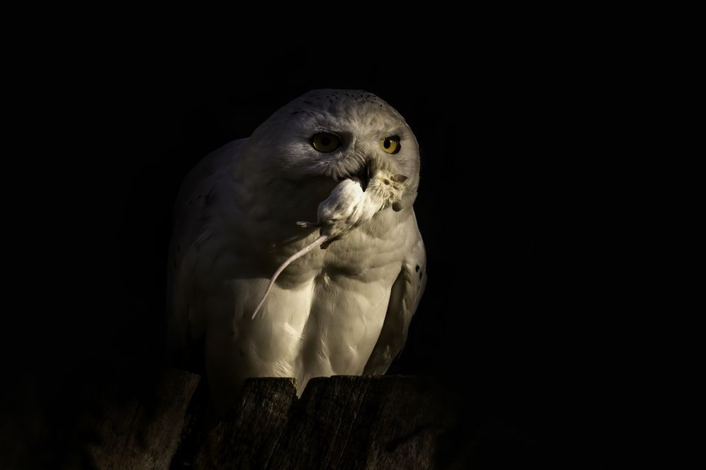 Photograph by Армен Майтесян