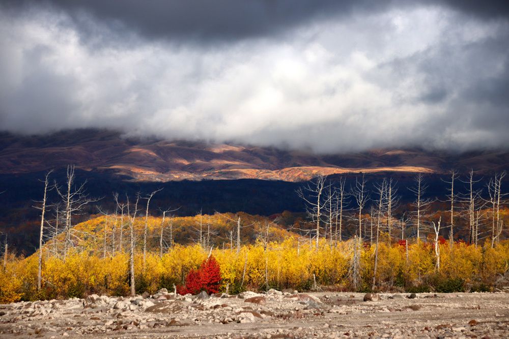 Photograph by Галина Ильясова