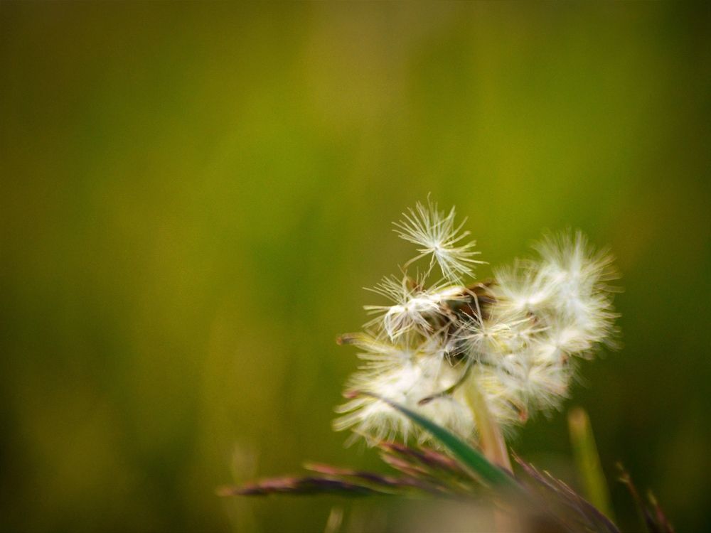 Photograph by Ирина Сыровежкина