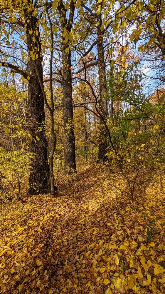 Photograph by Александра Яценко