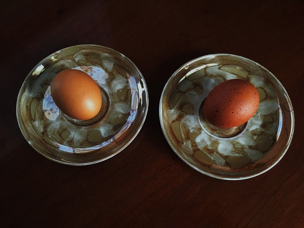 Photograph by Анатолий Протасов