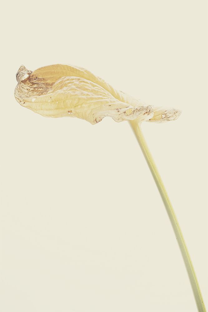 Photograph by Magdalena Pucek