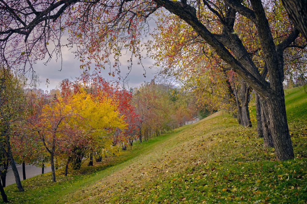 Photograph by Олег Печенегин