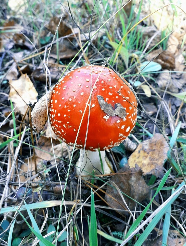 Photograph by Elena Morozova