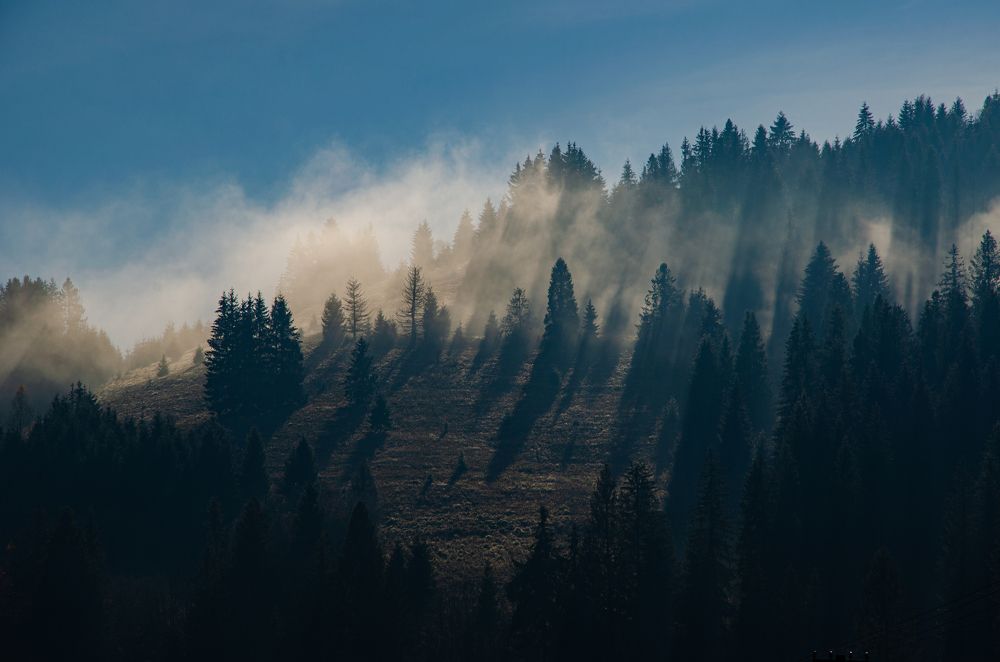 Morning in the countryside
