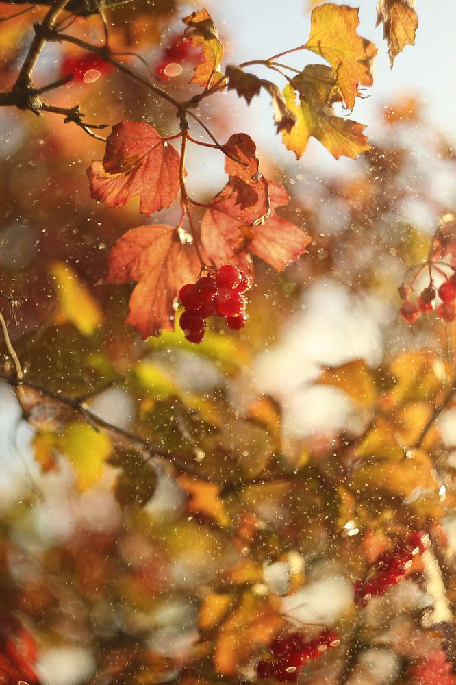 Photograph by Алена