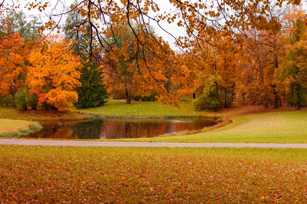 Photograph by Evgeniia Iakimenko