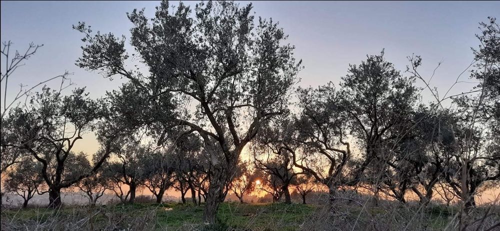 Фотография автора Fadi kassem