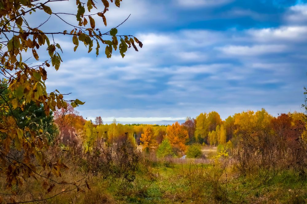 Photograph by Владимир Коновалов