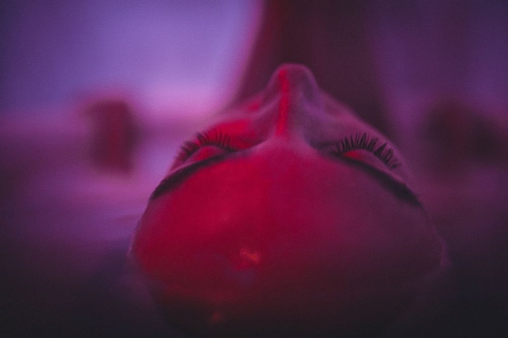 Photograph by Max Shane