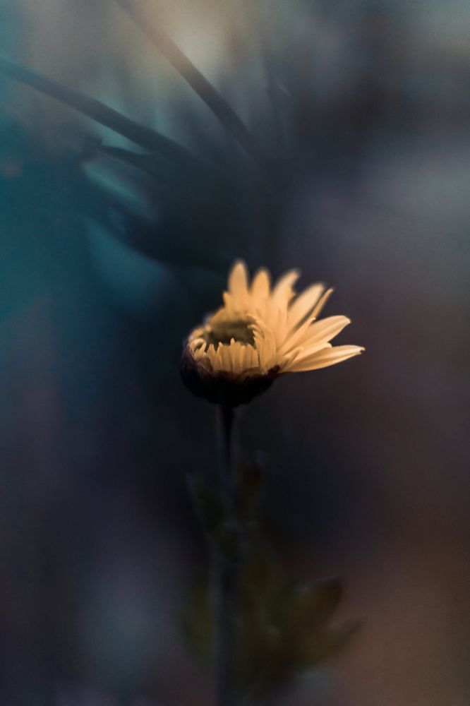 Photograph by Александра Чистякова