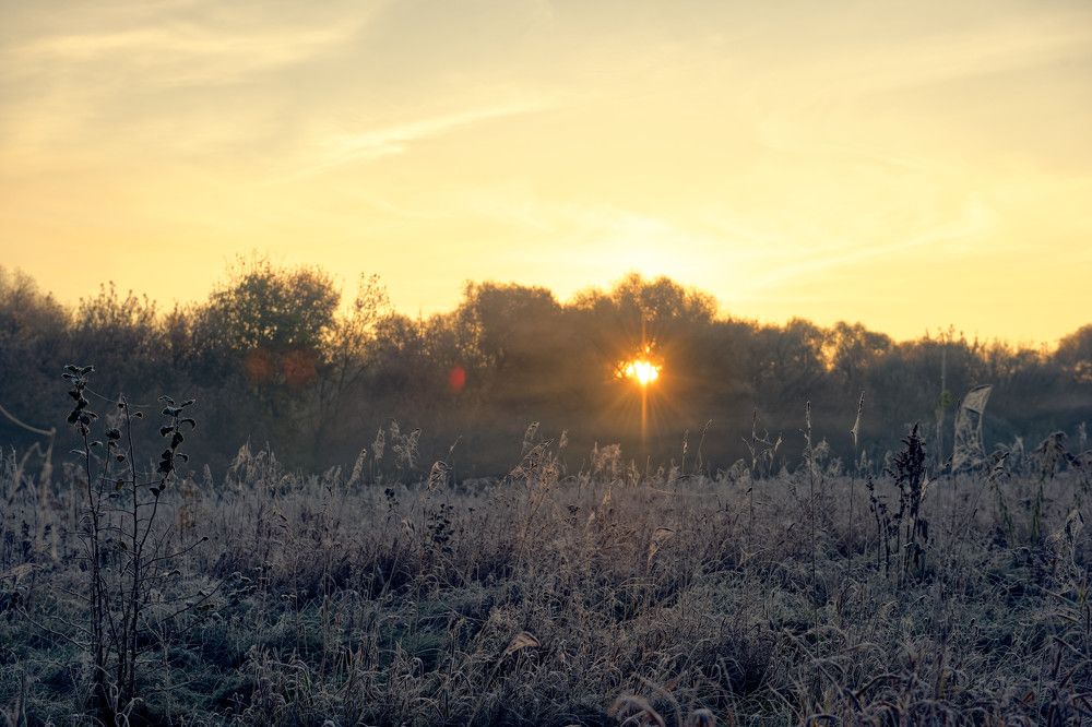 Фотография автора Алексей Григорьев